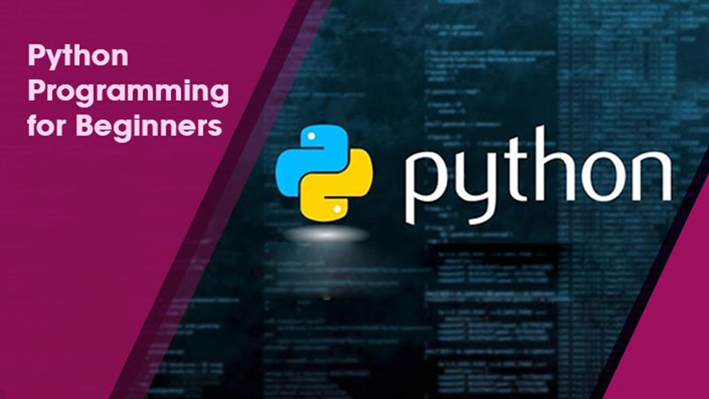 Python Programming for Beginners
