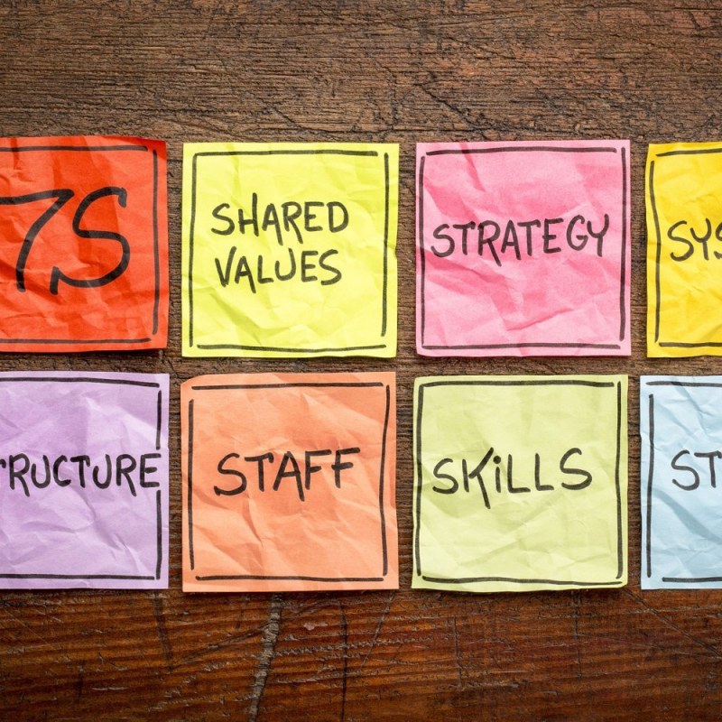 The McKinsey 7-S Framework