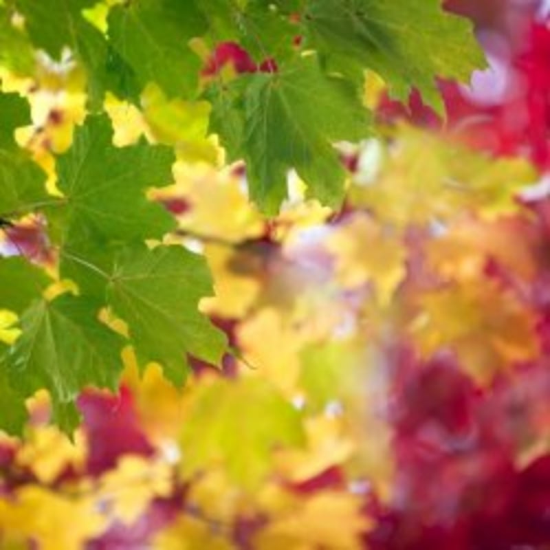 How Good Are Your Change Management Skills?