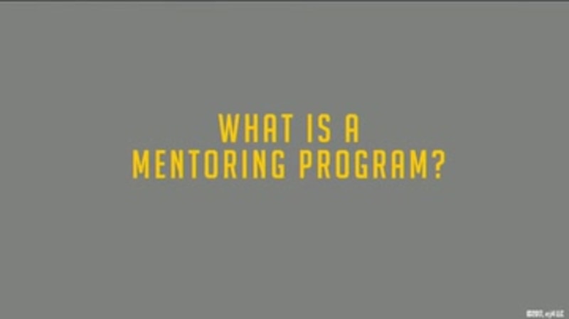 Mentoring: What is a Mentoring Program?