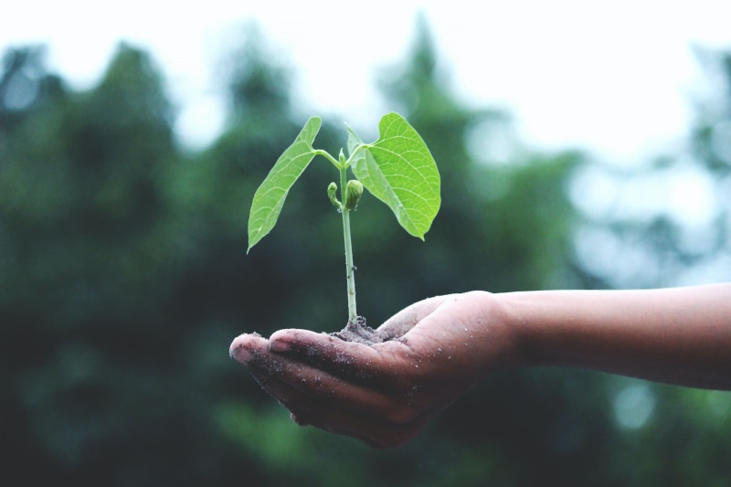 Become More Resilient