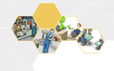 Developing a working culture that values diversity