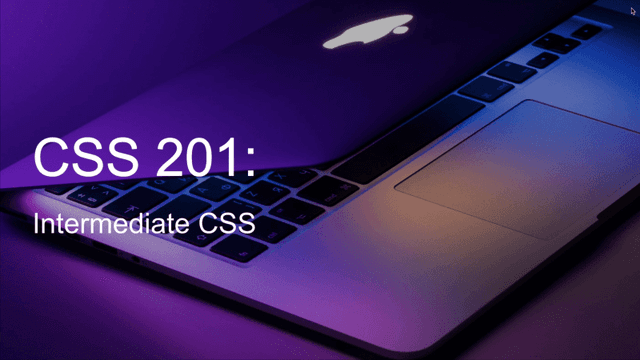 CSS 201
