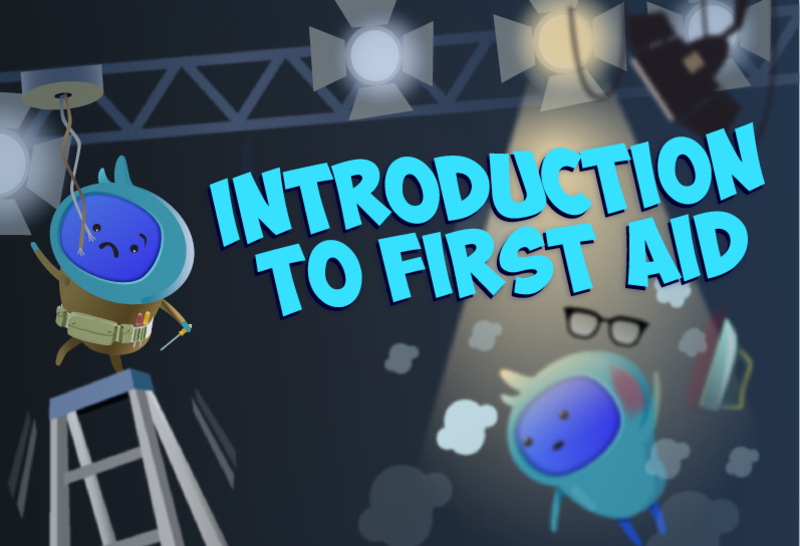 Introduction to First Aid (IOSH Approved and CPD certified)