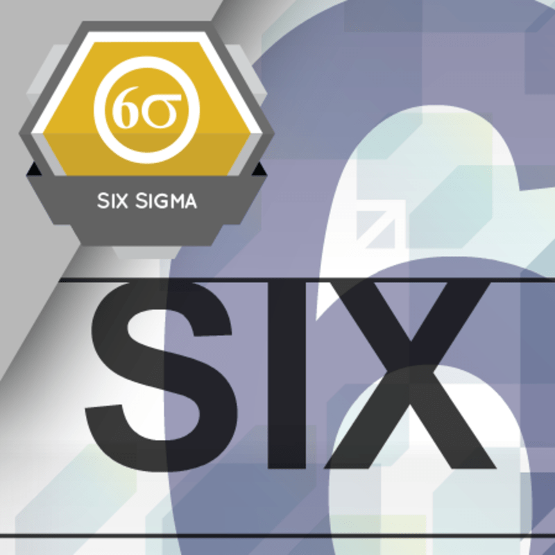 Six Sigma and the Organization [CO-OP]