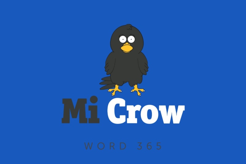 Microsoft Word 365 - Basic