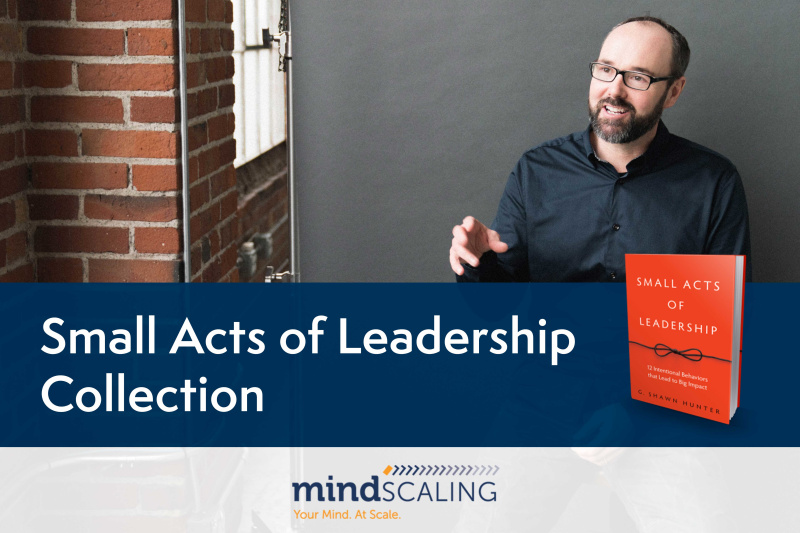 Small Acts of Leadership from Mindscaling