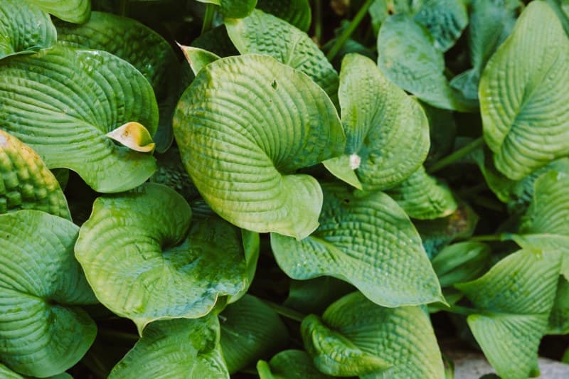 Take the Long View: Personal & Environmental Sustainability (EMEA)