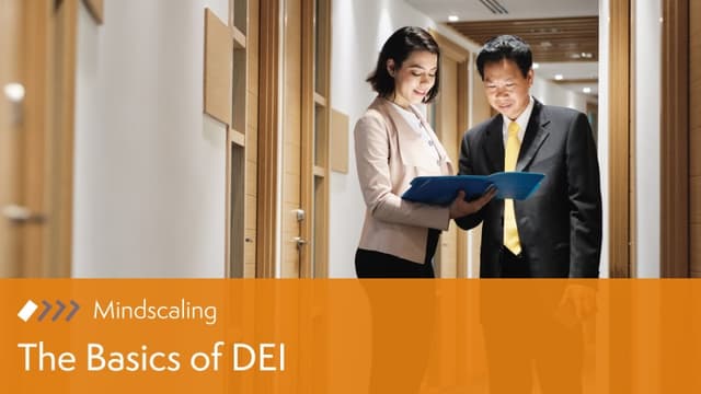 DEI: The Basics from Mindscaling