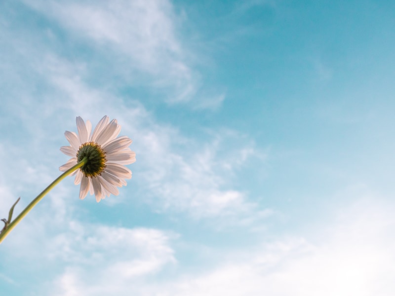 Support One Another: Suicide Awareness & Prevention