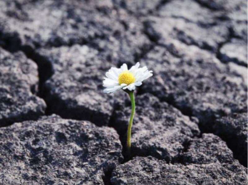 Resilience: Leading through a challenge (Part 4 of 5)