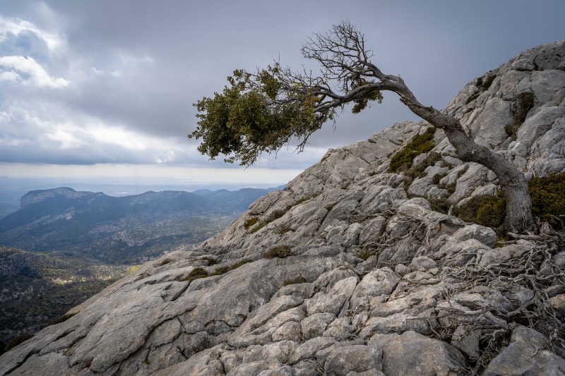 Resilience: Staying adaptable and resilient (Part 3 of 5)