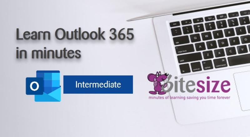 MS Outlook 365 - Intermediate