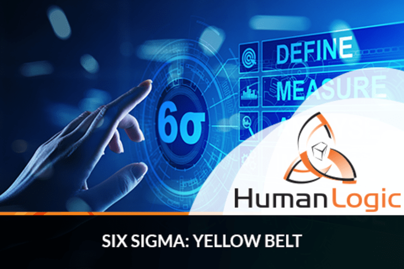 Six Sigma: Yellow Belt