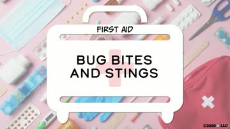 First Aid: Bug Bites and Stings