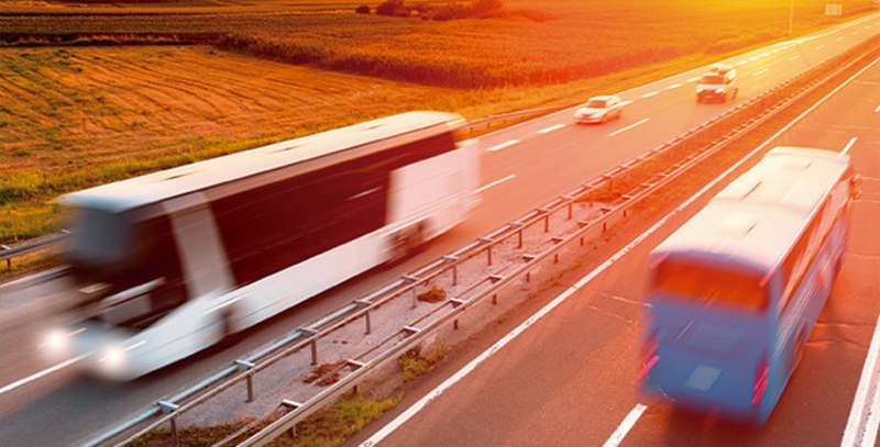 Road safety. Protect your life and the lives of others