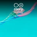 Test Your Adaptability