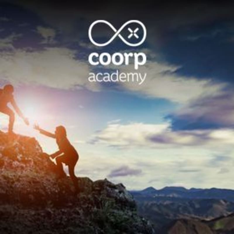 From Individual to Organizational Resilience - Part 1