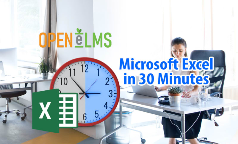 Microsoft Excel in 30 Minutes