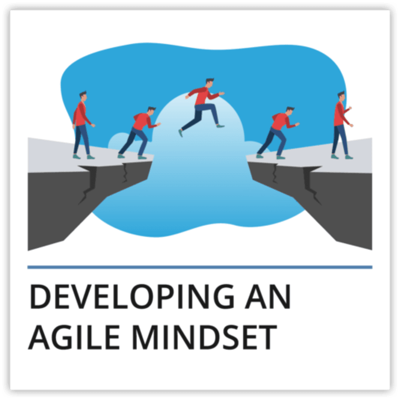 Developing an Agile Mindset