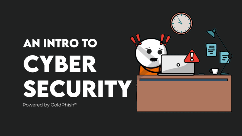 Introduction to Cyber Security