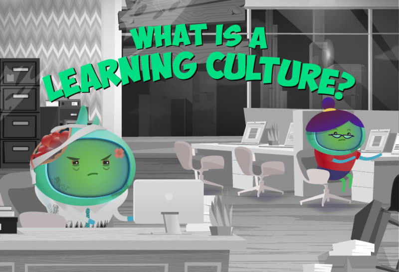 What is a Learning Culture? (CPD certified)