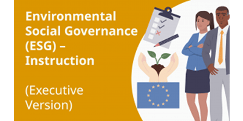 Environmental Social Governance (ESG) – Instruction (Executive Version)