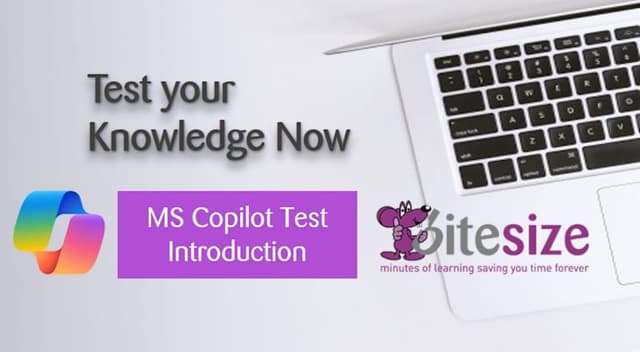 MS Copilot Introduction Test