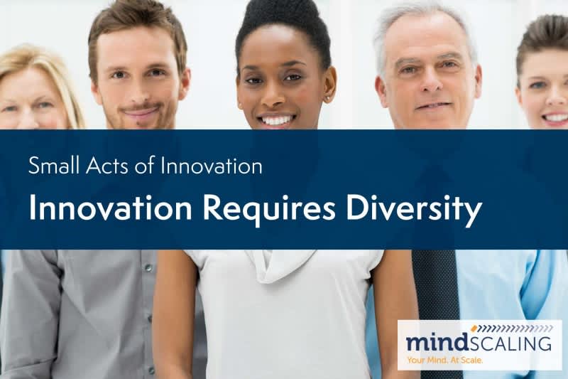 Small Acts of Innovation: Innovation Requires Diversity