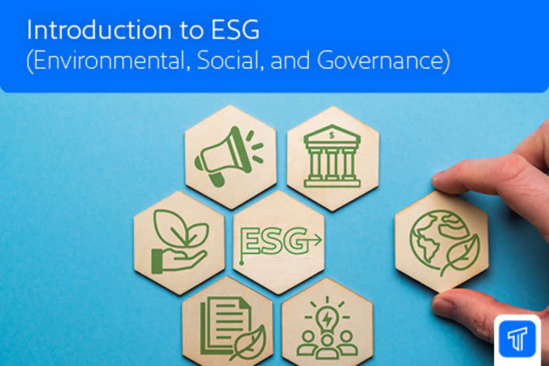 Introduction to ESG (Environmental, Social, and Governance) S7.5